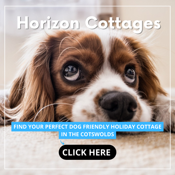 Dog friendly holiday cottages in the Cotswolds