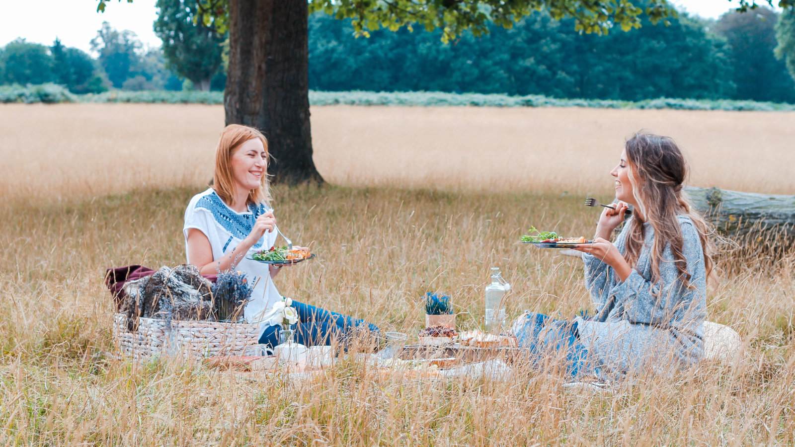 Enjoy a picnic in the Cotswolds countryside
