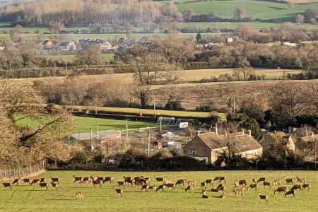 Walk from Broad Campden to Blockley