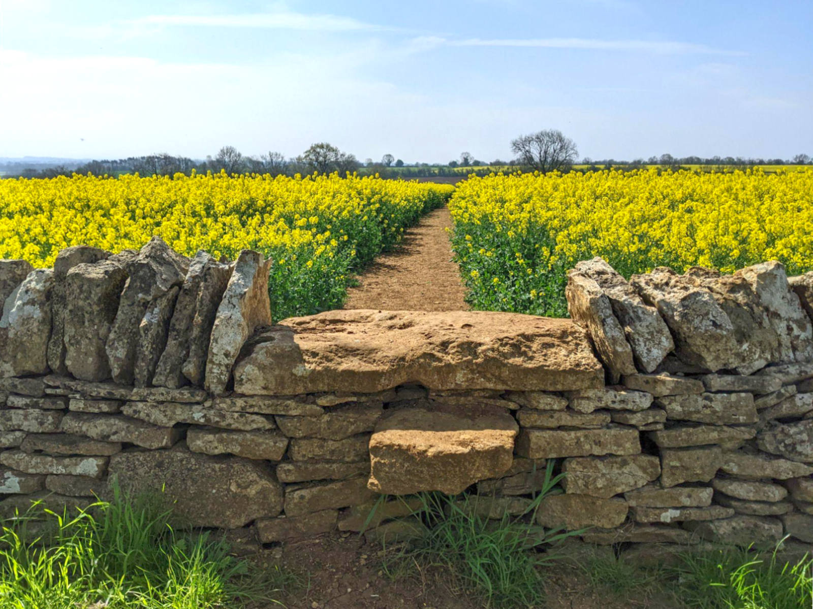 Cotswold stone wall and footpath