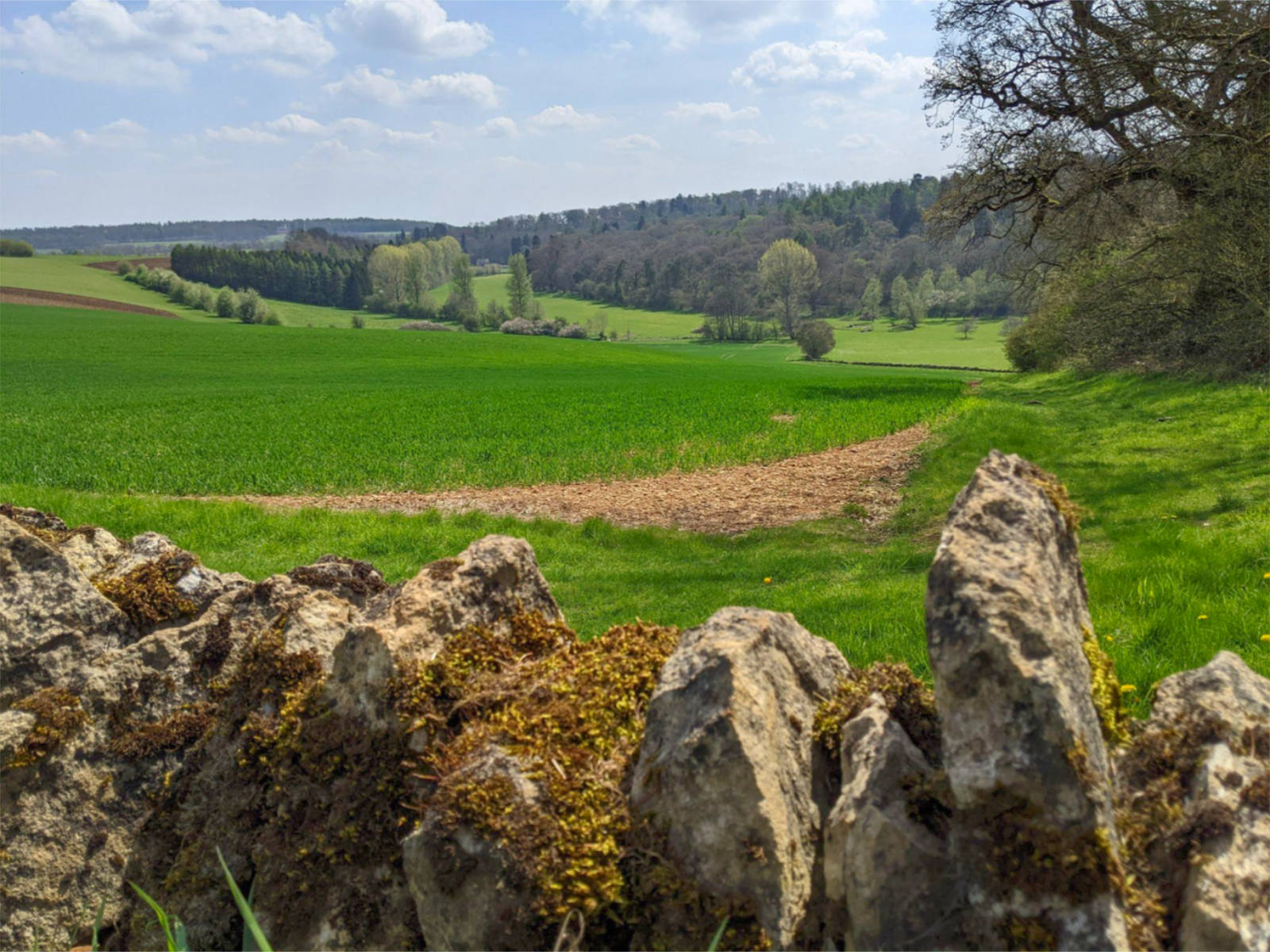 Countryside view near Chedworth Roman Villa