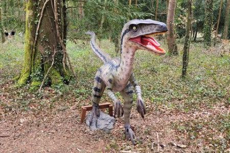Cirencester Adventure Trail