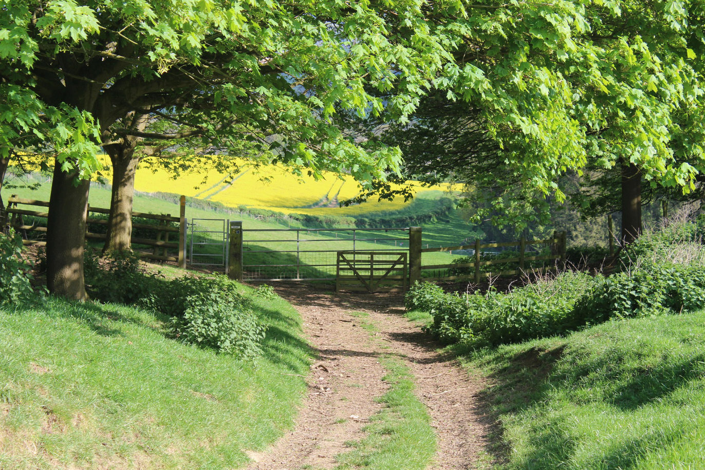 The wonderful Cotswolds countryside