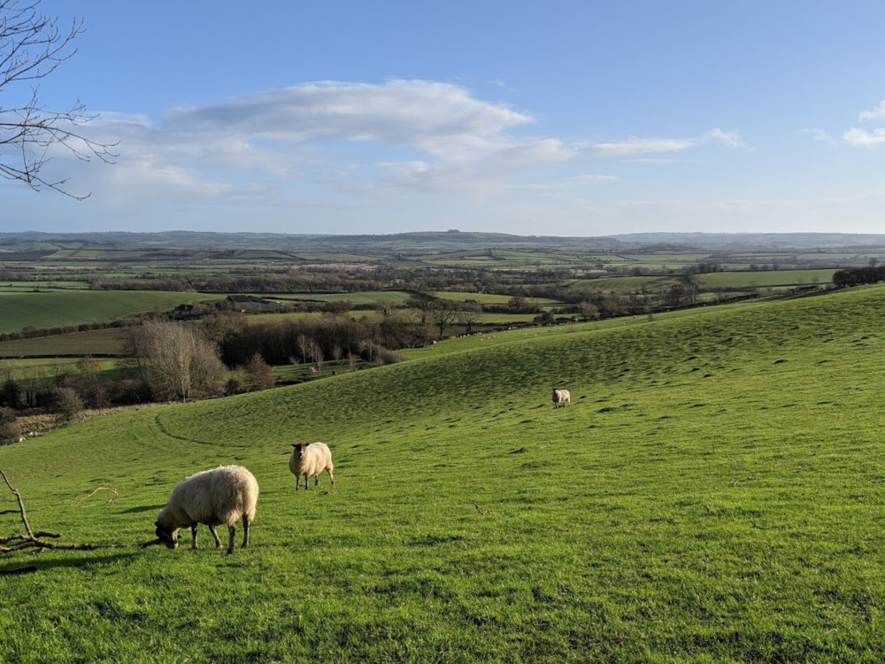 A view from the ridge over the rolling hills in the direction of Darlingscott