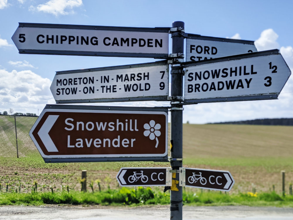 Decisions, decisions! - &copy;2021 Sue McGreal