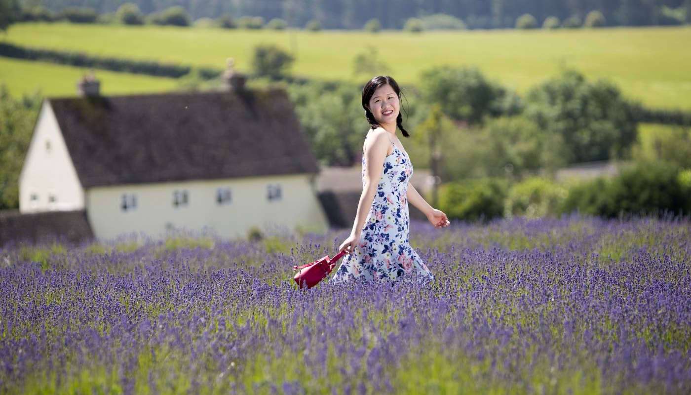 Cotswold Lavender
