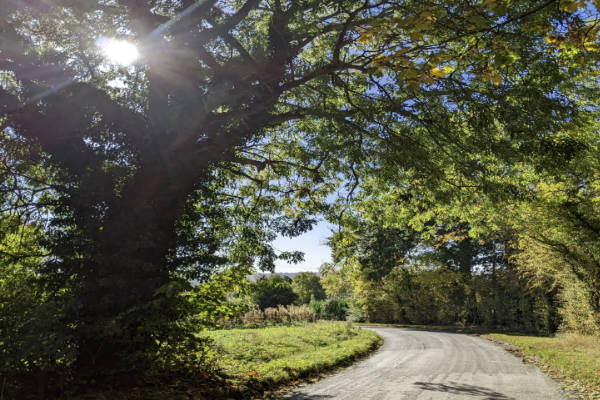 Cotswold Strolls - Ilmington to Ebrington