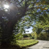 Cotswold Strolls - Ilmington to Ebrington
