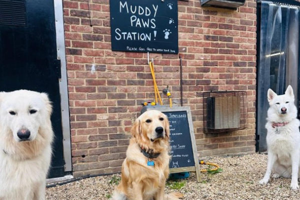 A View, a Brew, and Your Dog Too: 7 Dog-Friendly Pubs in the Cotswolds