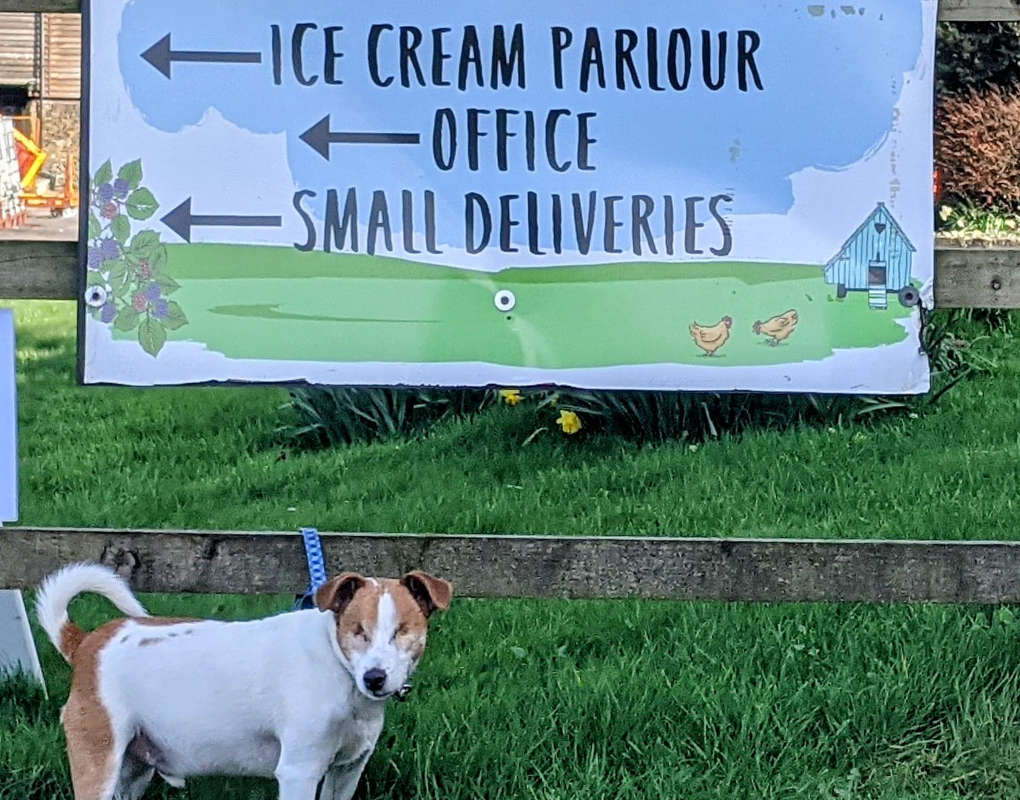 Jasper at Marshfield Farm. Other way Jasper! Jasper is always going the wrong way and leading the gang in various adventures