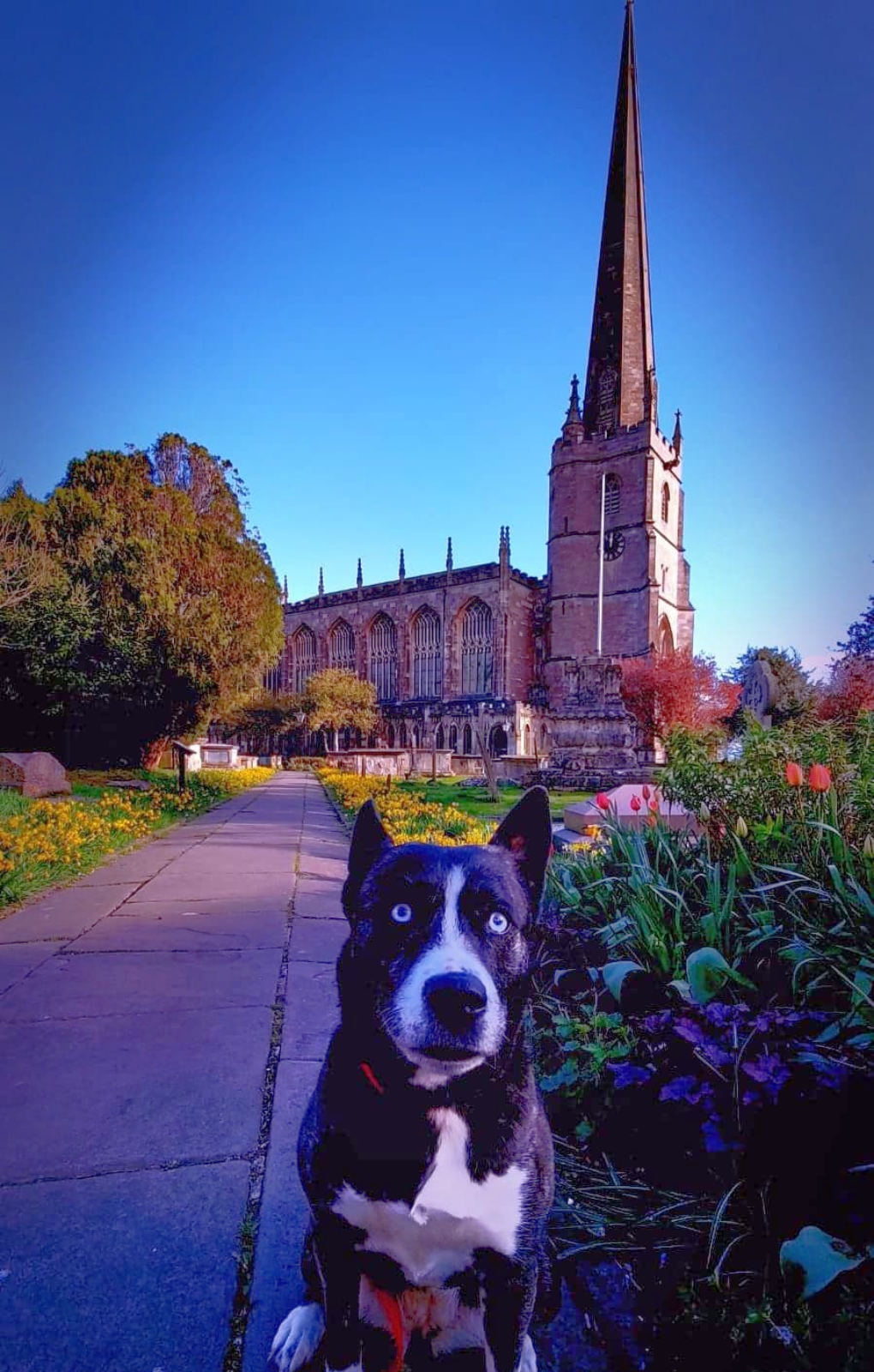 The Parish Church of St Mary the Virgin and St Mary Magdalen, Tetbury
