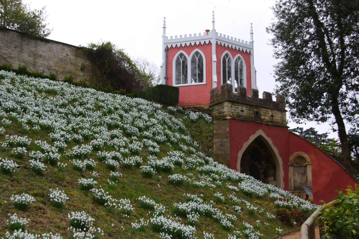 Snowdrops at Painswick Rococo Gardens - From a <a href='https://www.cotswolds.org/blog/visit-painswick-rococo-gardens/123/'>blog by Martin Marais</a>