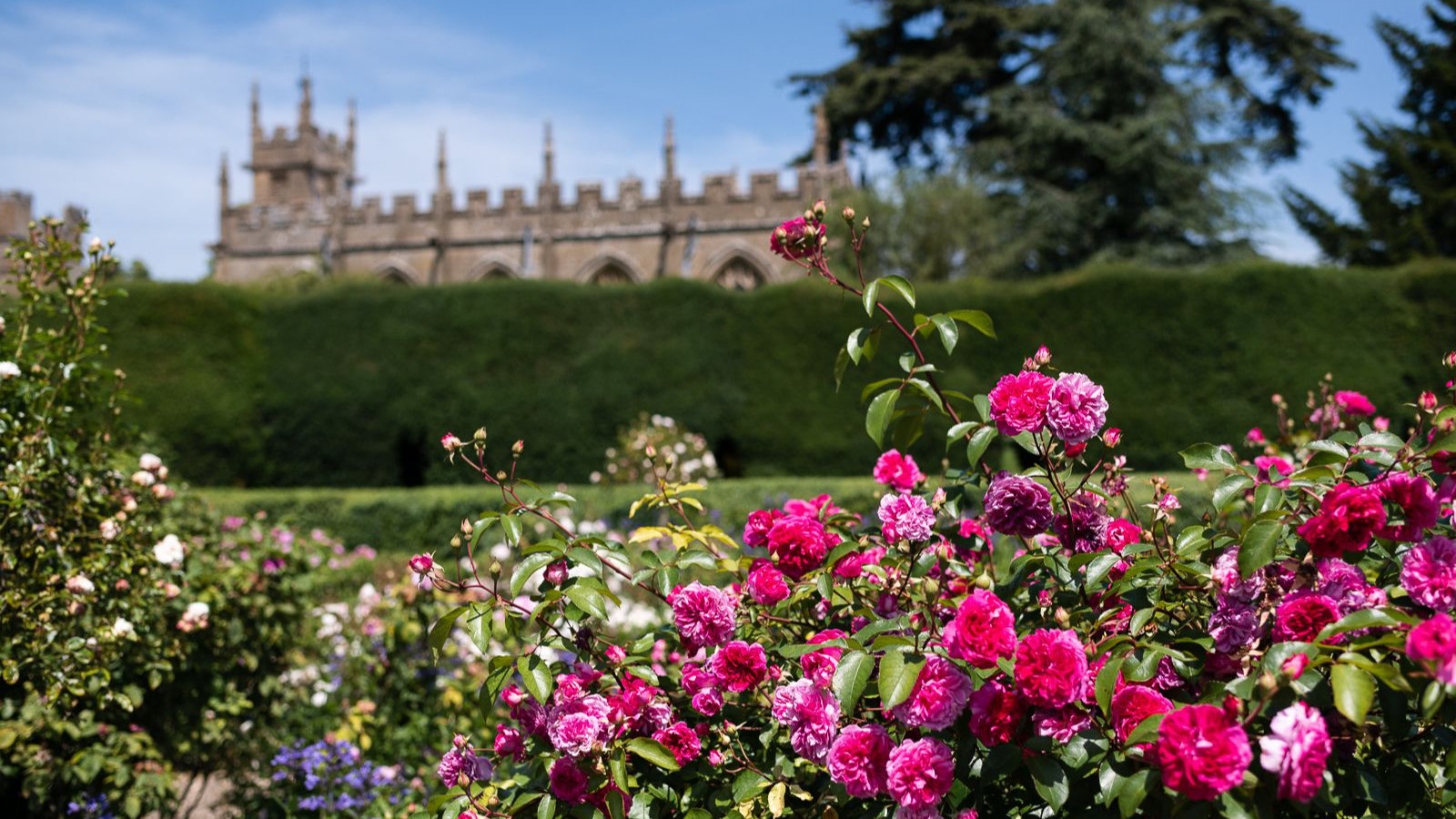 Sudeley Castle and Gardens