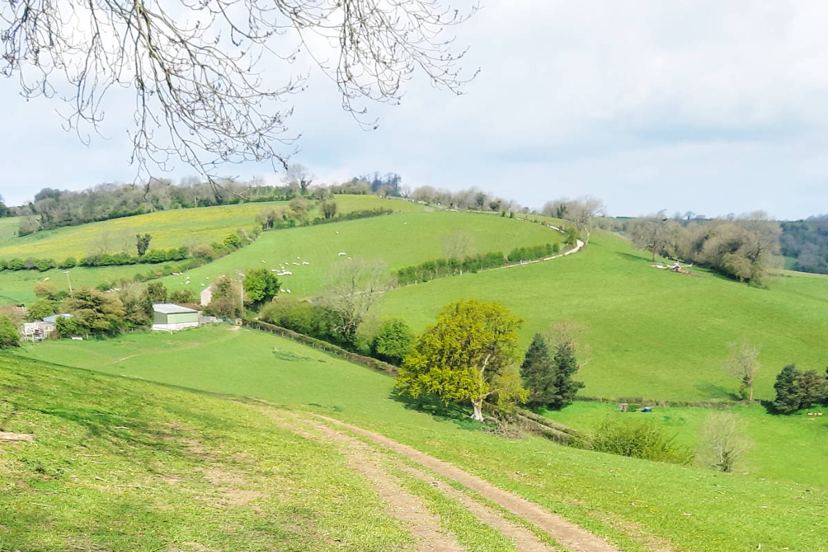 A view of the winding route of the Cotswold Way near Bath