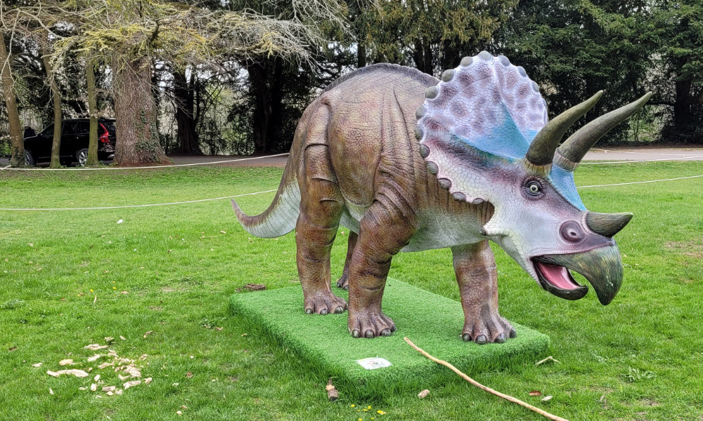 Triceratops at Cirencester Park!