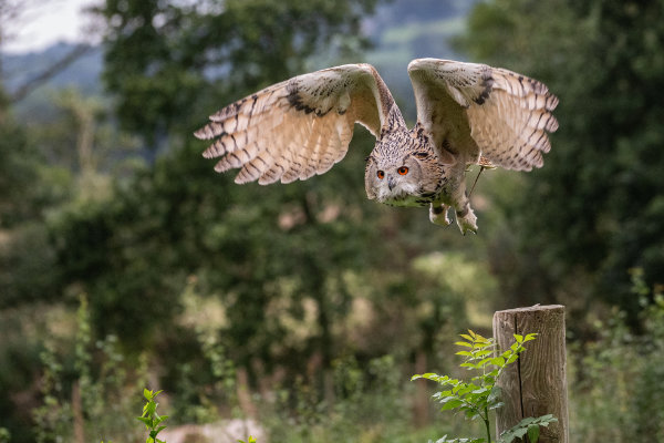 Unusual Things to do in the Cotswolds
