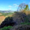 The Wysis Way - Part 2 - 'Blessed is the eye between the Severn and the Wye'
