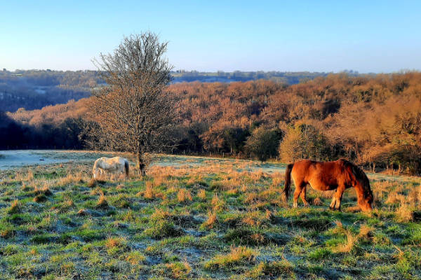 The Wysis Way - Part 1 - Through the Cotswolds