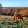 The Wysis Way - Part 1 - Through the Cotswolds