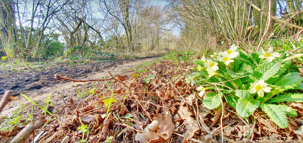 Pay Lane (old Drovers' road)
