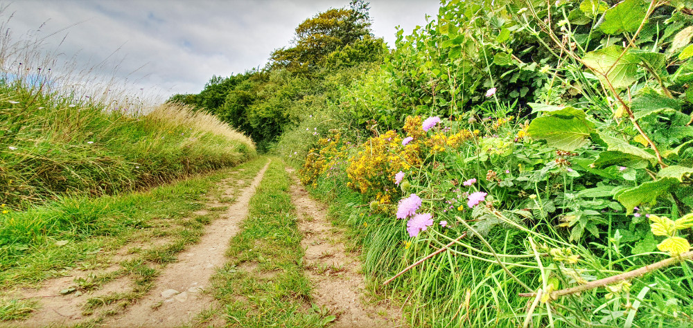 Windrush meander near Kineton