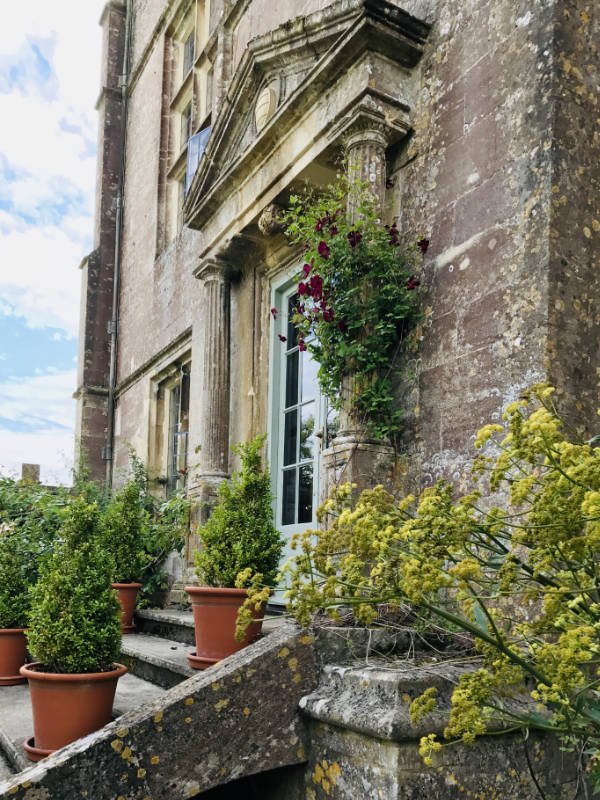 Clematis and pots at Newark Park