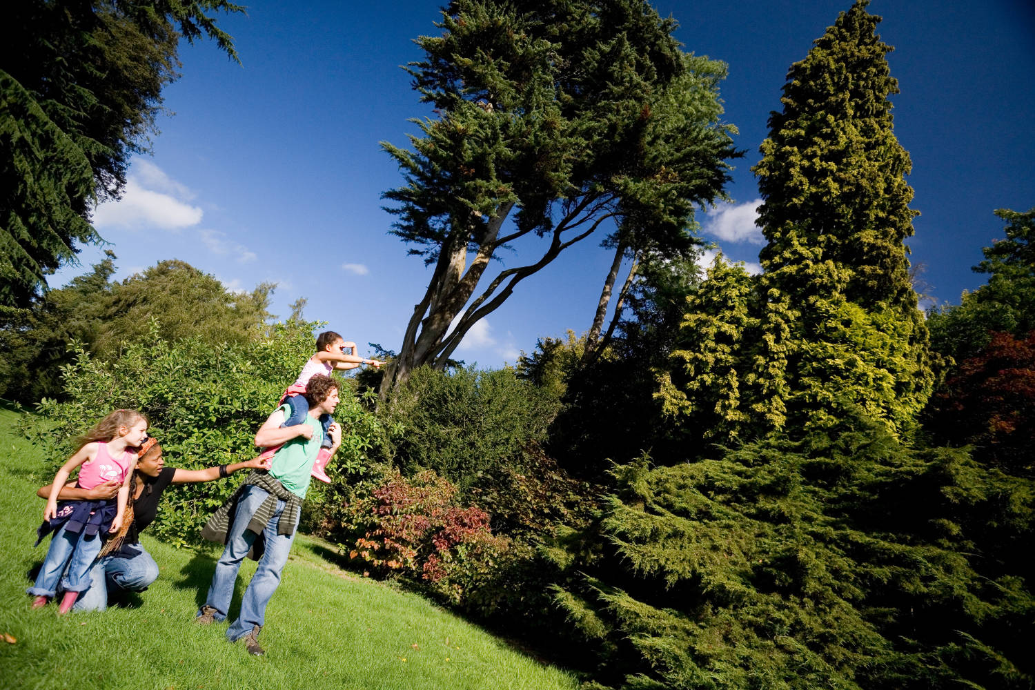 Exploring Westonbirt, The National Arboretum