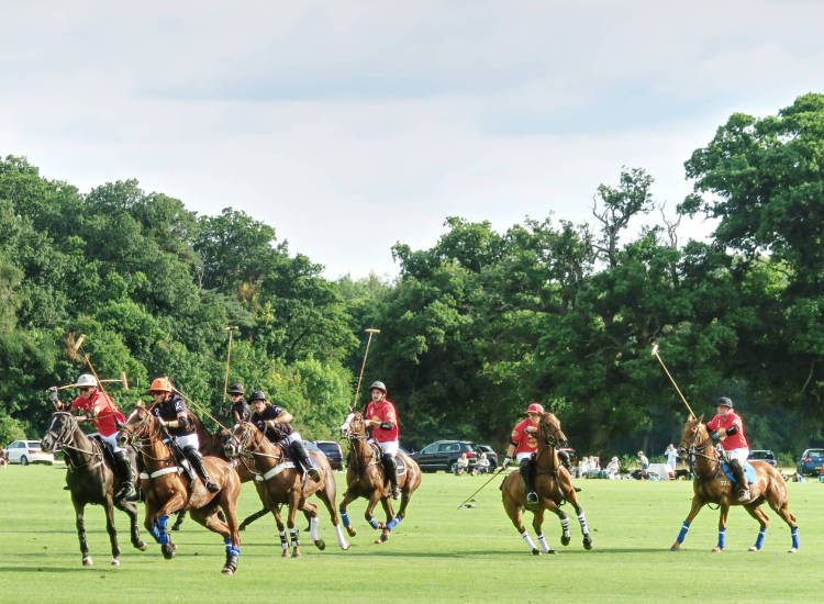 Polo at Cirencester Park